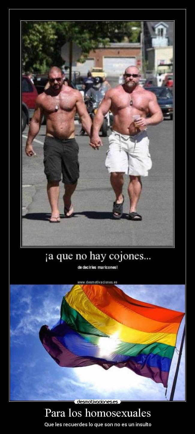 Para los homosexuales - Que les recuerdes lo que son no es un insulto
