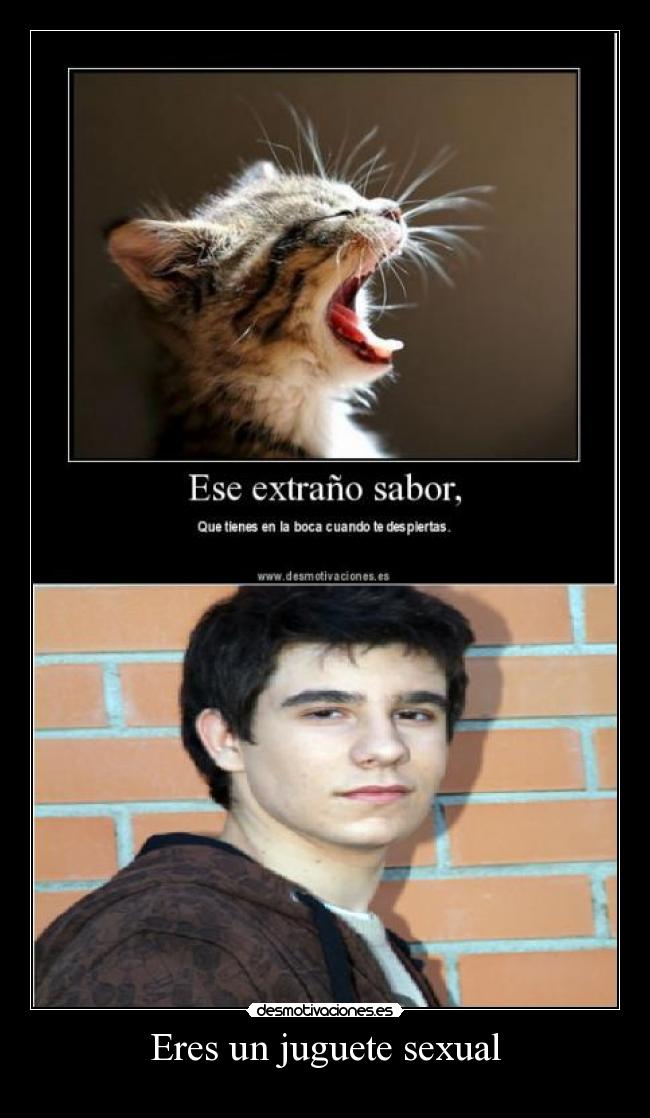 Eres un juguete sexual -