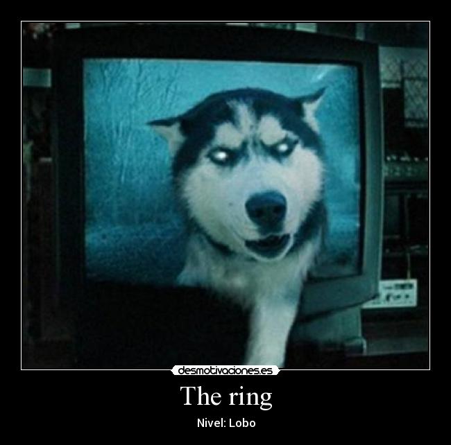 The ring -