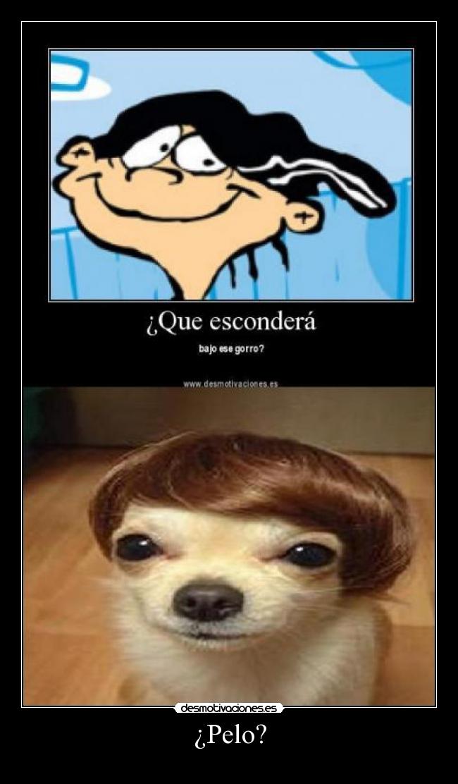 ¿Pelo? -