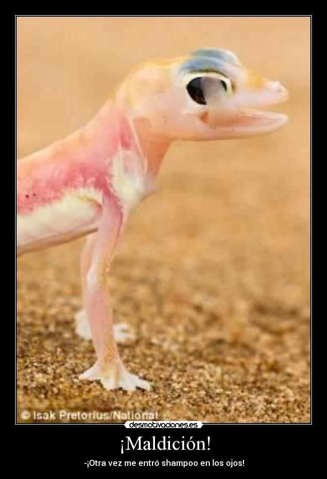 ¡Maldición! - -¡Otra vez me entró shampoo en los ojos!