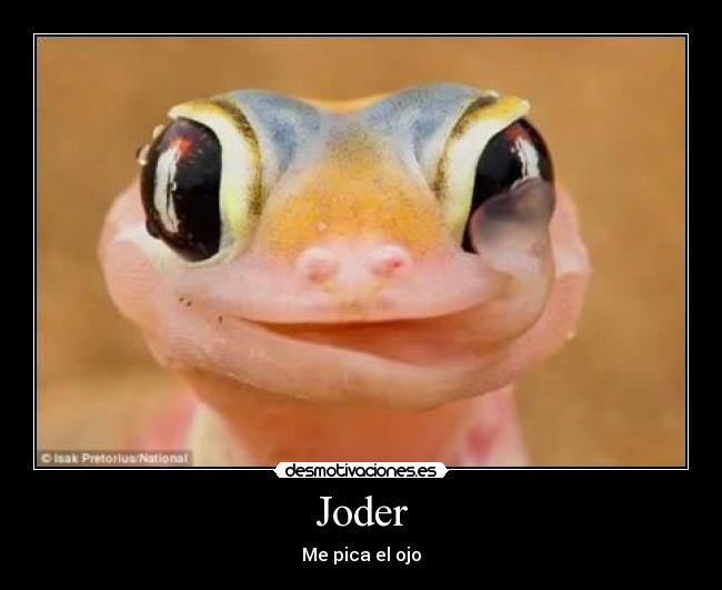 Joder - Me pica el ojo