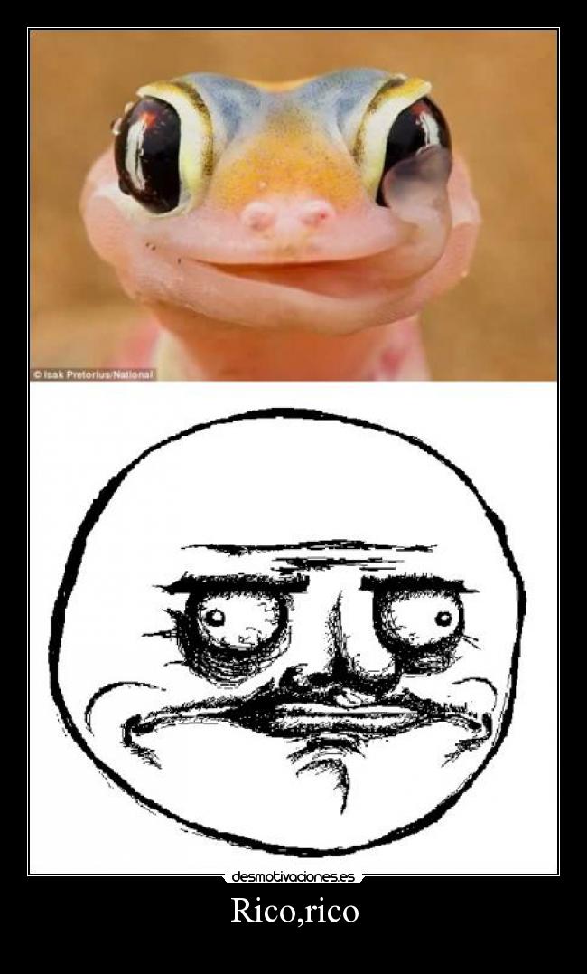 Rico,rico -