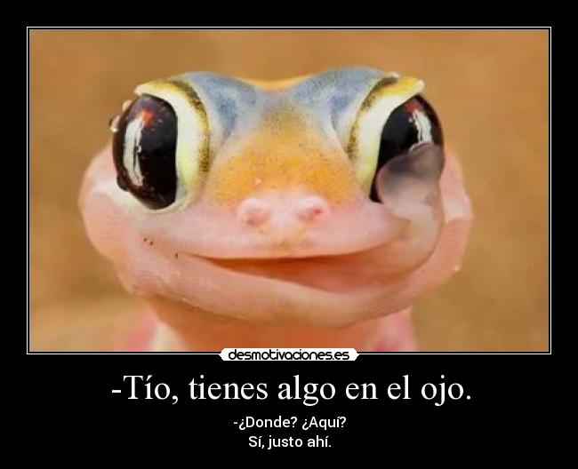 -Tío, tienes algo en el ojo. - -¿Donde? ¿Aquí?
Sí, justo ahí.
