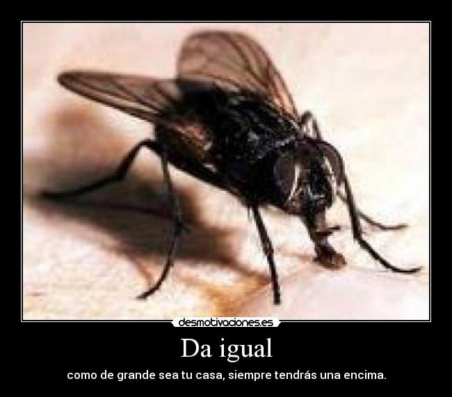 Da igual - 