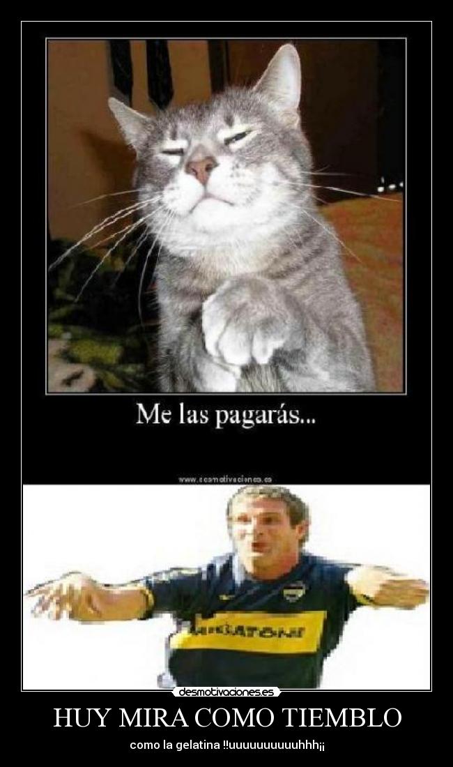 HUY MIRA COMO TIEMBLO -