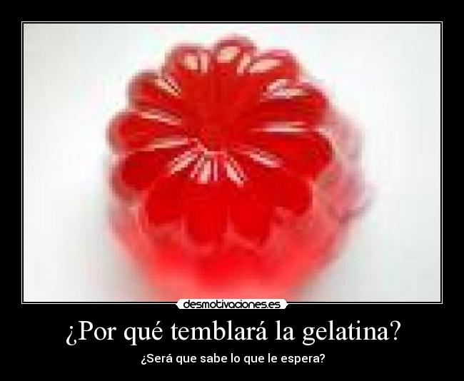¿Por qué temblará la gelatina? - ¿Será que sabe lo que le espera?