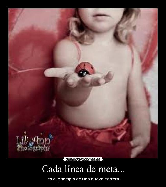 carteles principio desmotivaciones