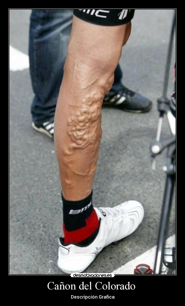 Cañon del Colorado - Descripción Grafica