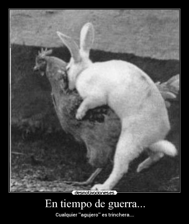 En tiempo de guerra... -