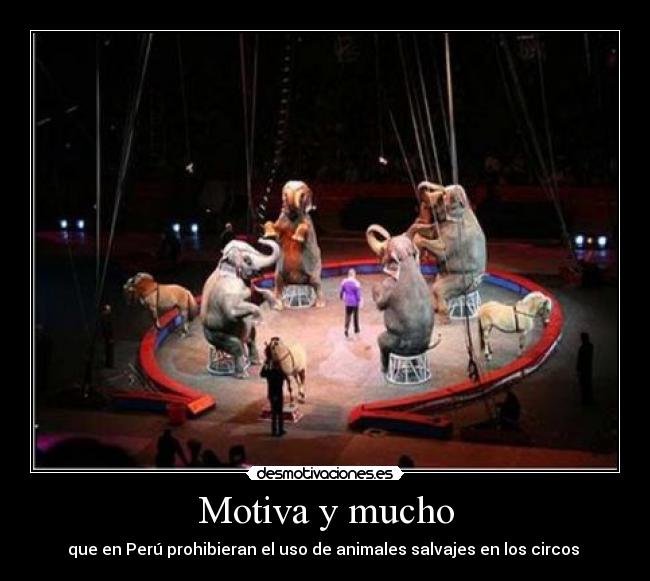 Motiva y mucho -