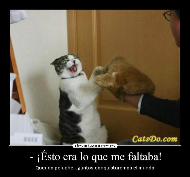 carteles gato feliz desmotivaciones