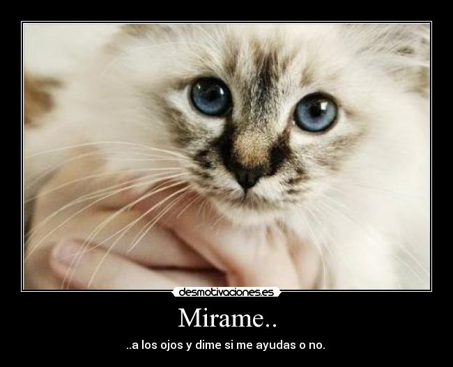 Mirame.. - ..a los ojos y dime si me ayudas o no.