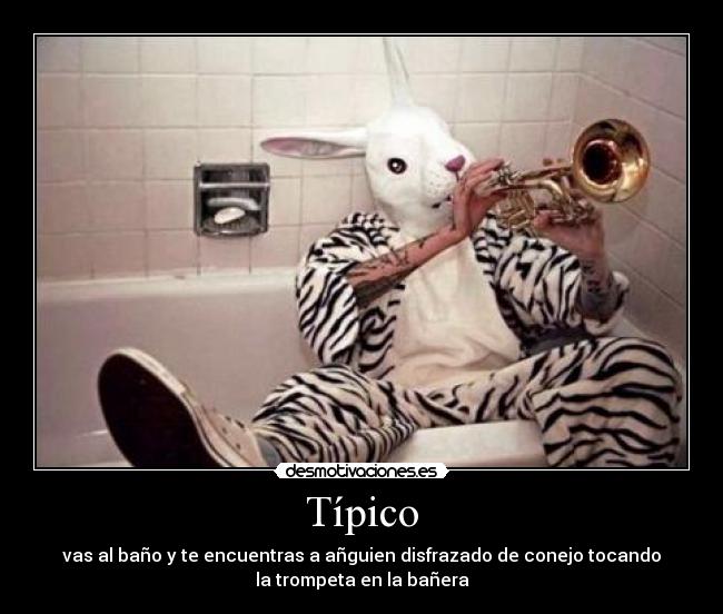 Típico - vas al baño y te encuentras a añguien disfrazado de conejo tocando
la trompeta en la bañera