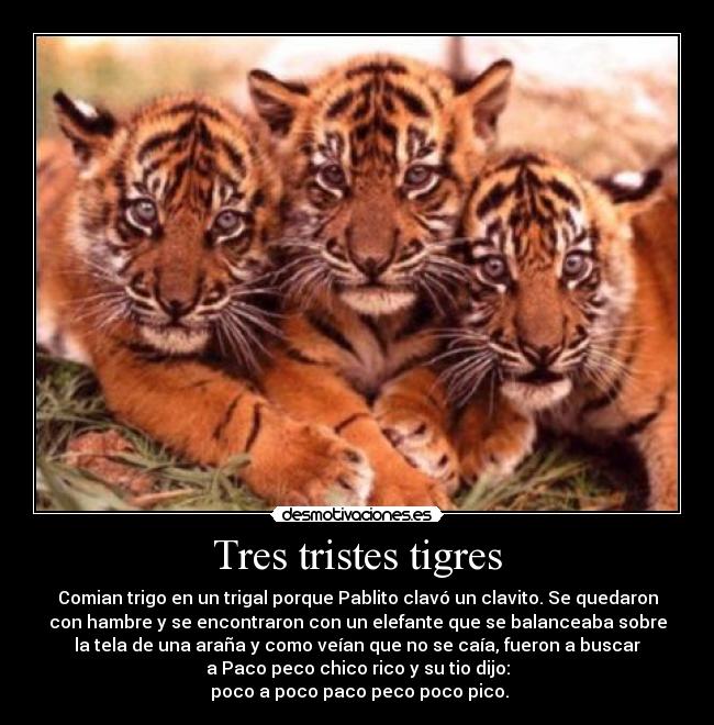 Tres tristes tigres - 