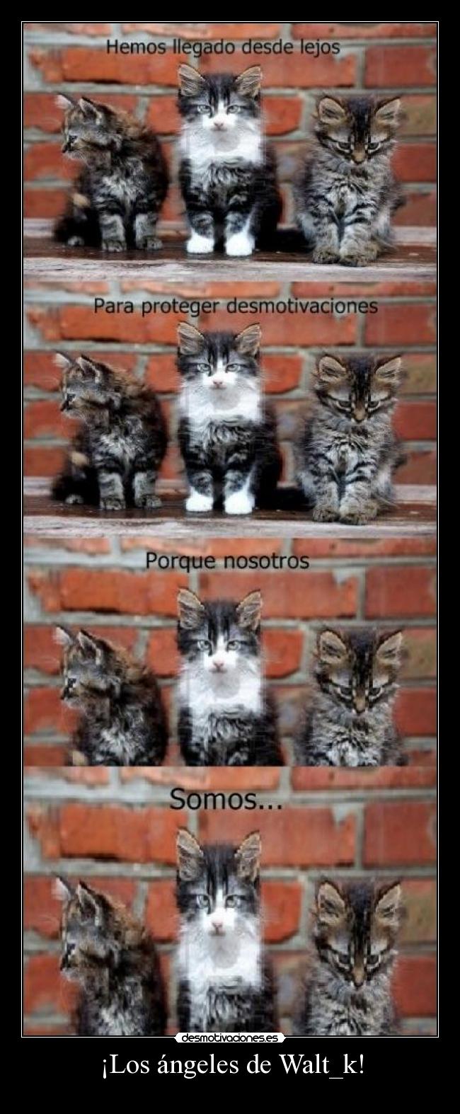 ¡Los ángeles de Walt_k! - 