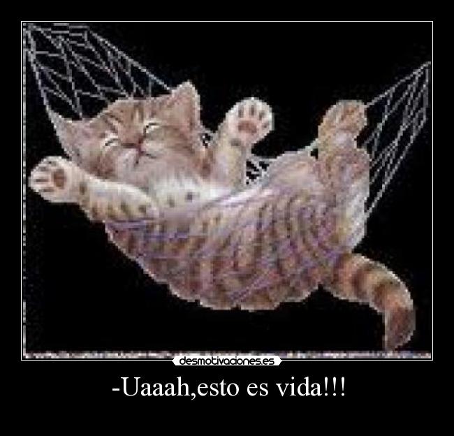 -Uaaah,esto es vida!!! - 
