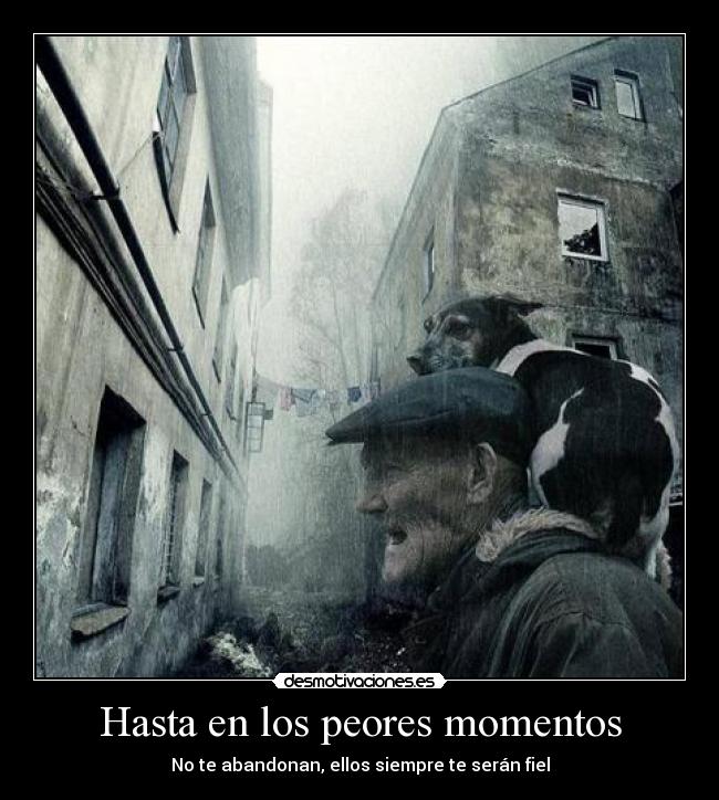 carteles fielabandonarperrospeor momentolluvia desmotivaciones