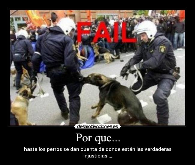 Por que... - hasta los perros se dan cuenta de donde están las verdaderas injusticias....