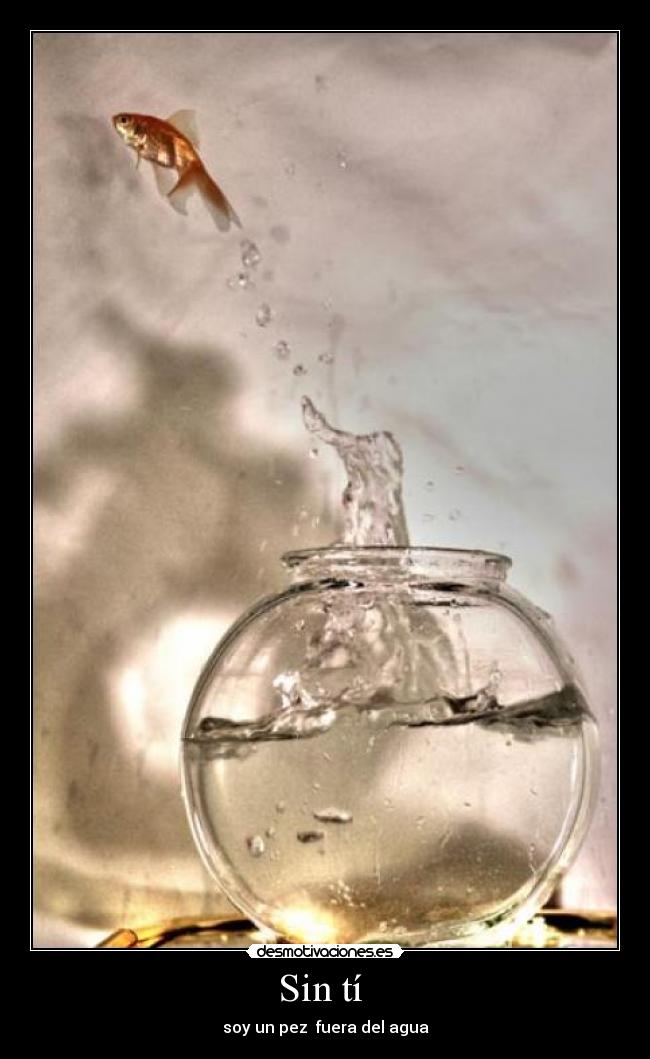 Sin tí  - 