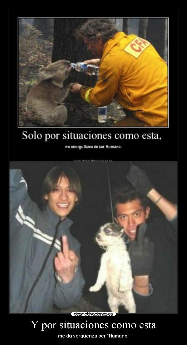 Y por situaciones como esta - me da vergüenza ser Humano