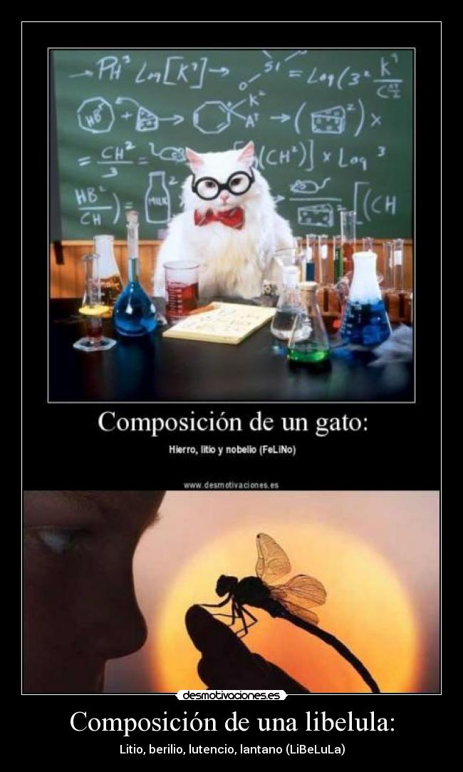 carteles composicion insecto libelula tabla periodica insectos desmotivaciones