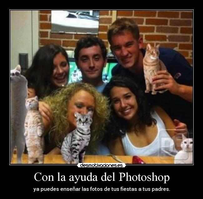 carteles ayuda photoshopfiestagatosalcohol desmotivaciones