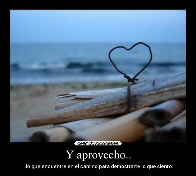 Y aprovecho.. - ..lo que encuentre en el camino para demostrarte lo que siento.