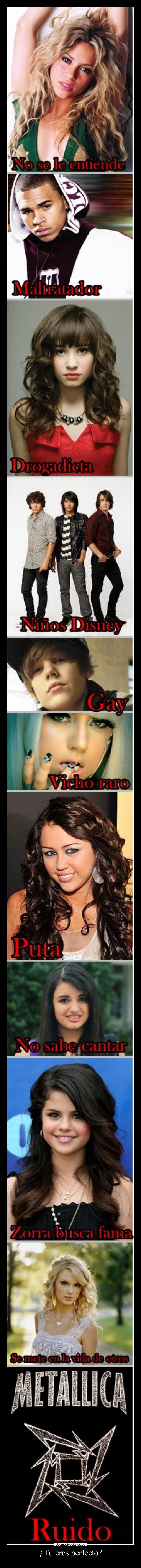 ¿Tú eres perfecto? - 