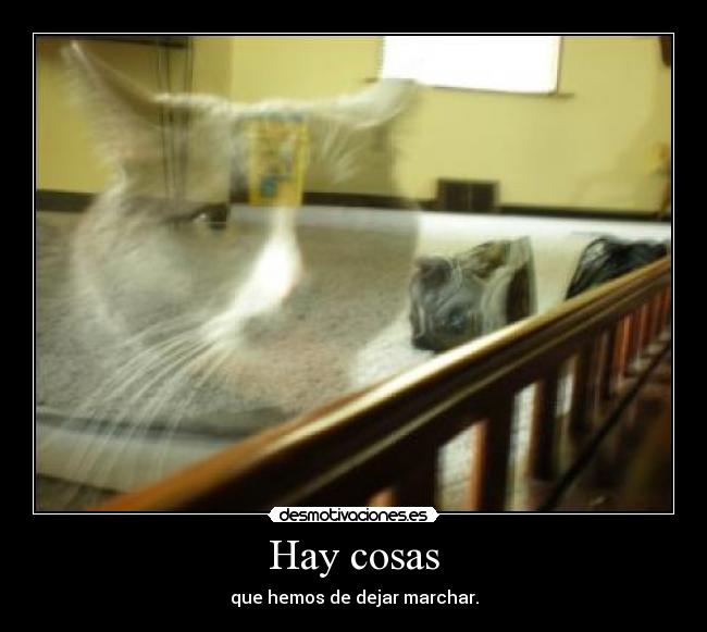 Hay cosas - que hemos de dejar marchar.