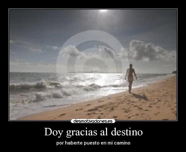 Doy gracias al destino - por haberte puesto en mi camino