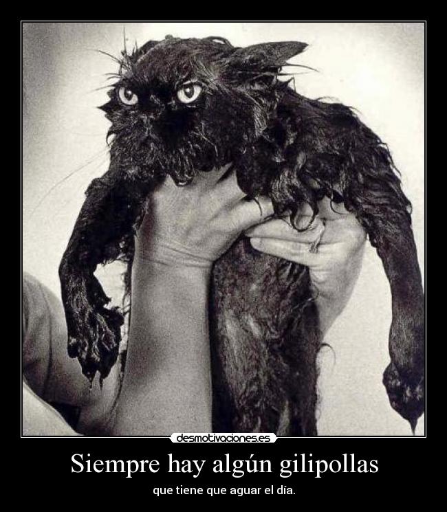 Siempre hay algún gilipollas - que tiene que aguar el día.