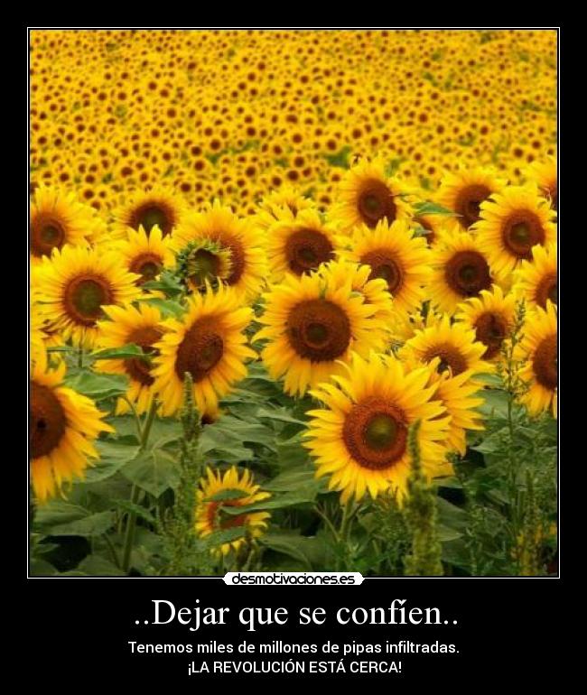 ..Dejar que se confíen.. - Tenemos miles de millones de pipas infiltradas.
¡LA REVOLUCIÓN ESTÁ CERCA!