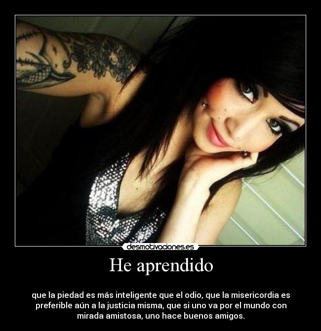 carteles aprendido desmotivaciones