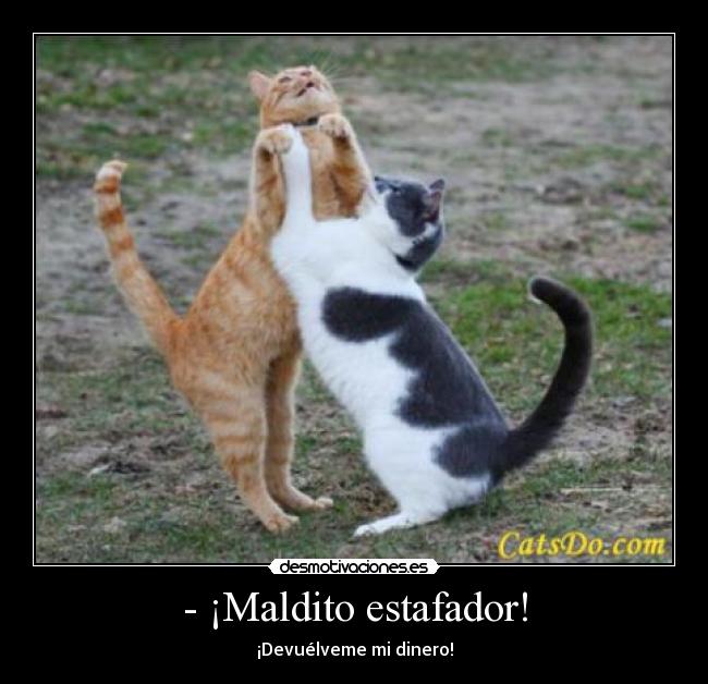 - ¡Maldito estafador! - ¡Devuélveme mi dinero!