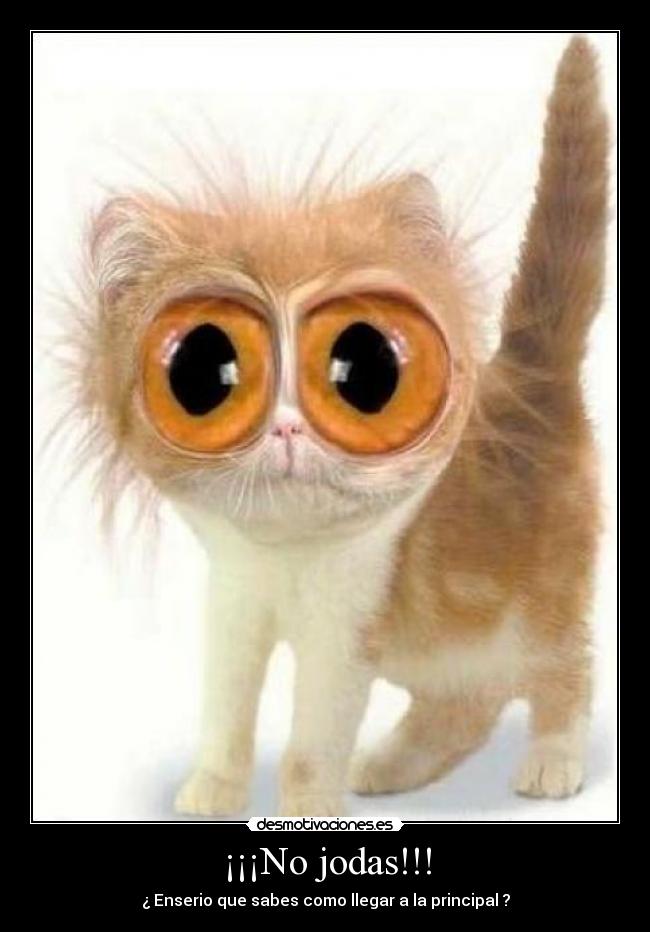 ¡¡¡No jodas!!! -