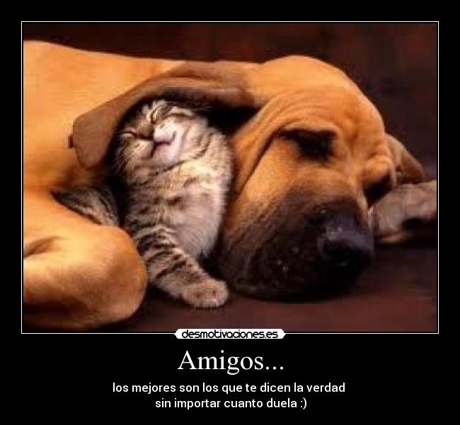 Amigos... - 