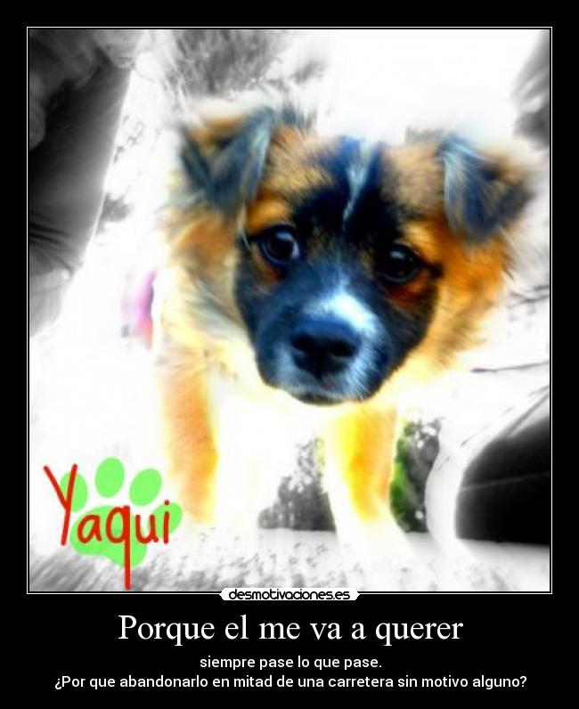 Porque el me va a querer - siempre pase lo que pase.
¿Por que abandonarlo en mitad de una carretera sin motivo alguno?