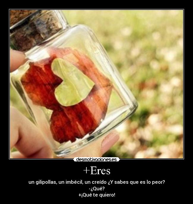 +Eres - un gilipollas, un imbécil, un creído ¿Y sabes que es lo peor?
-¿Qué?
+¡Qué te quiero!