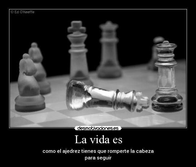 carteles vida ajedrez desmotivaciones