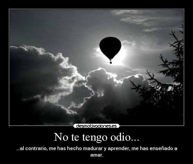 No te tengo odio... - ...al contrario, me has hecho madurar y aprender, me has enseñado a amar.