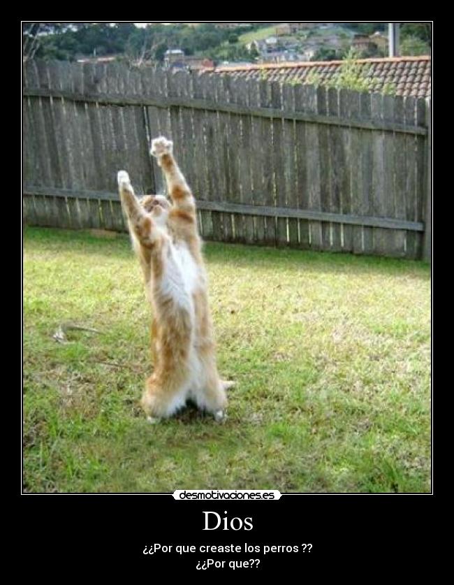 Dios - 