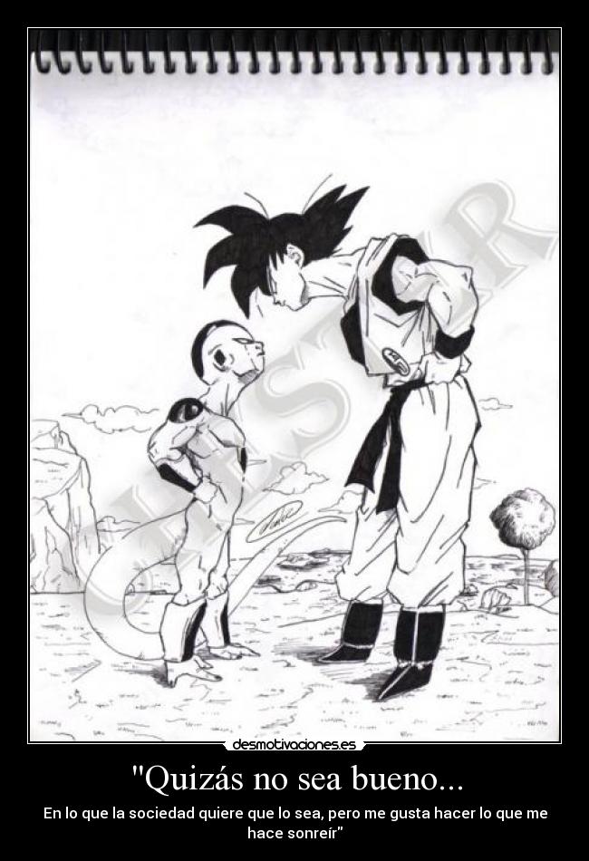Quizás no sea bueno... - En lo que la sociedad quiere que lo sea, pero me gusta hacer lo que me hace sonreír
