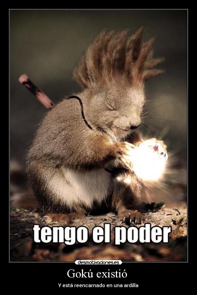 Gokú existió  - Y está reencarnado en una ardilla