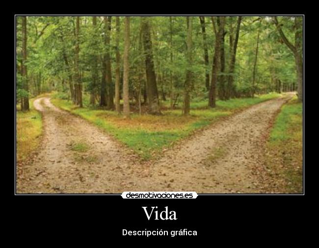 Vida -
