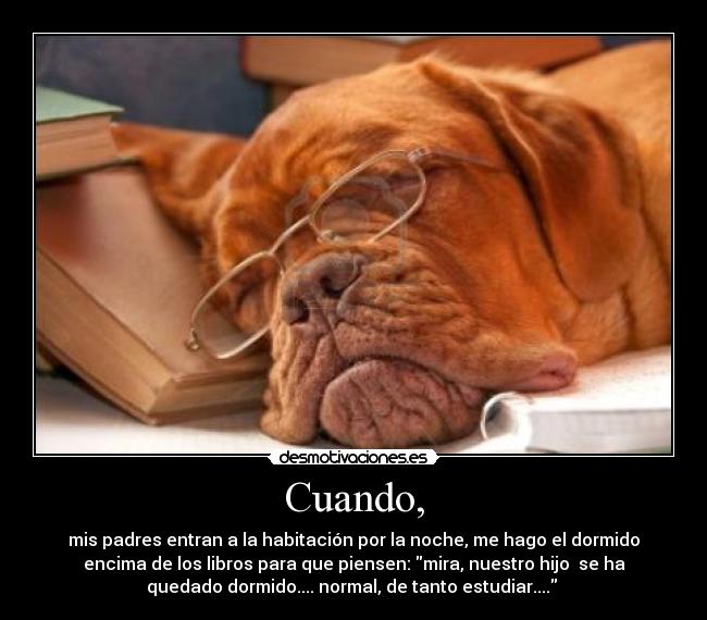Cuando, - mis padres entran a la habitación por la noche, me hago el dormido
encima de los libros para que piensen: mira, nuestro hijo se ha
quedado dormido.... normal, de tanto estudiar....