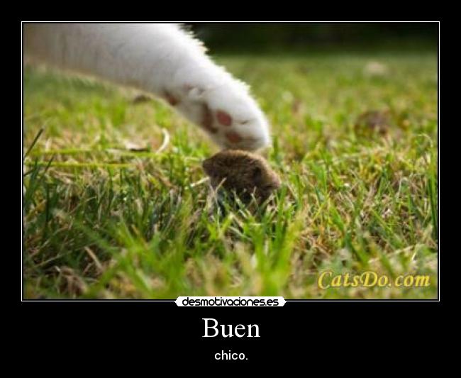 carteles walt_k desmotivaciones