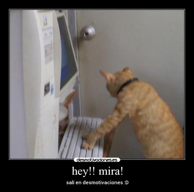 carteles hey mira desmotivaciones