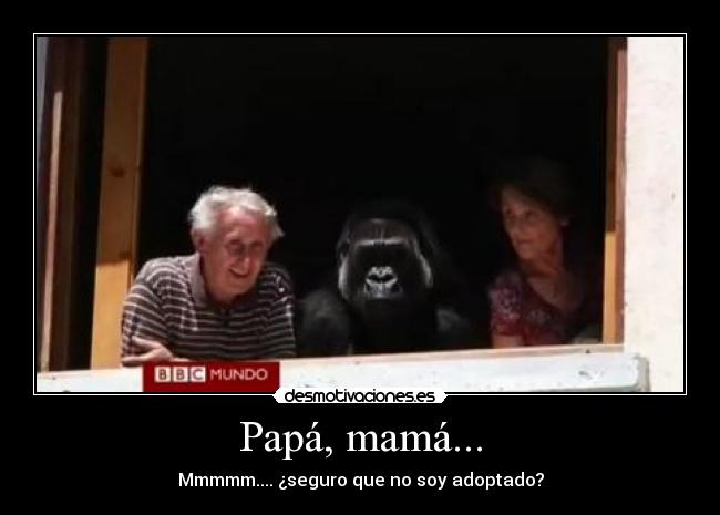 carteles adoptado desmotivaciones