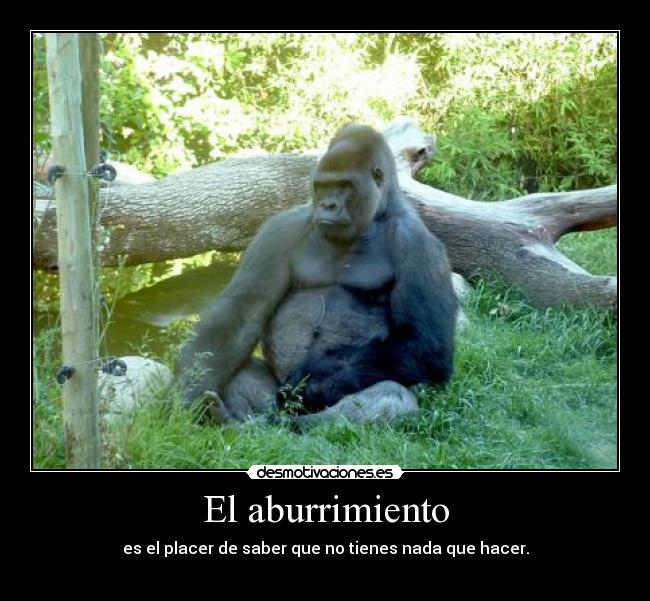 El aburrimiento -